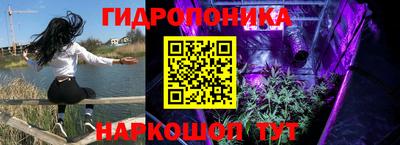 МДПВ Лесосибирск