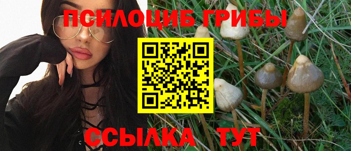 Псилоцибиновые грибы Magic Shrooms  Вход с VPN  Псилоцибиновые грибы мицелий  цены наркотик  Кандалакша 